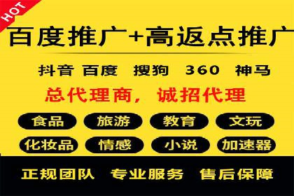 信息流广告代理项目案例分析